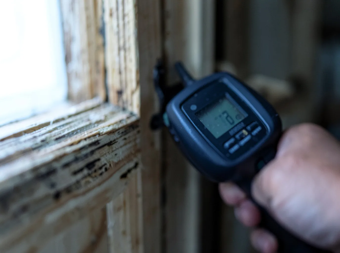 Moisture Inspection And Documentation in Mcgill, NV